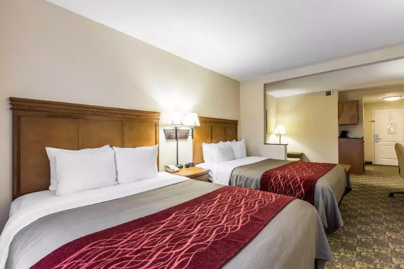 Отель Comfort Inn & Suites