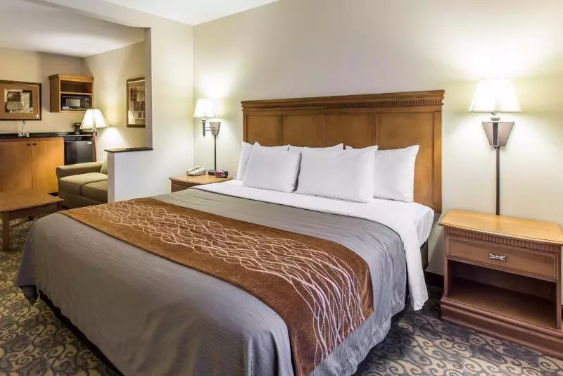 Отель Comfort Inn & Suites