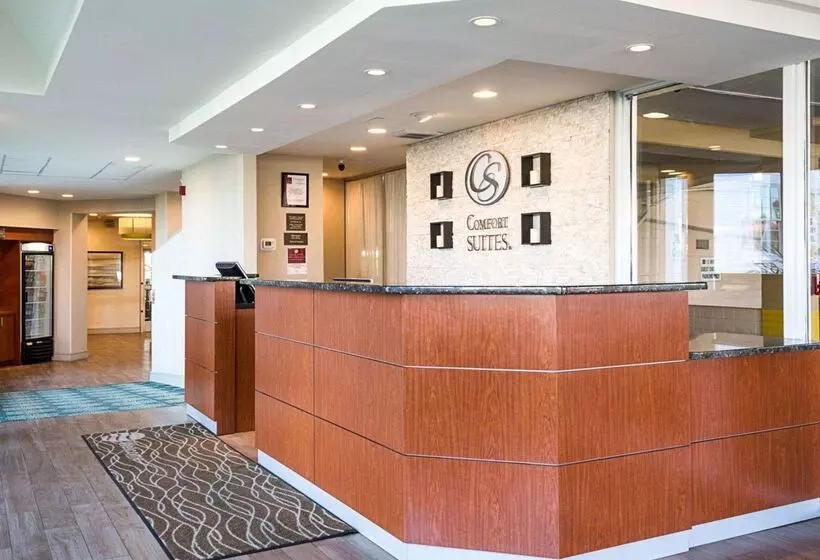 ホテル Comfort Suites Beachfront