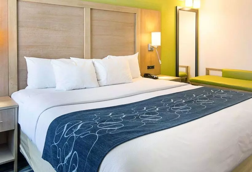 ホテル Comfort Suites Beachfront