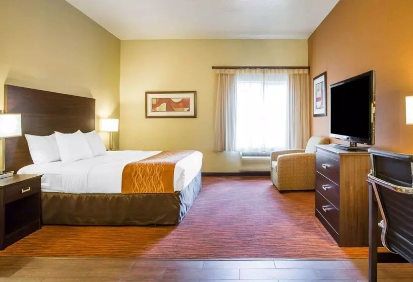 호텔 Comfort Suites