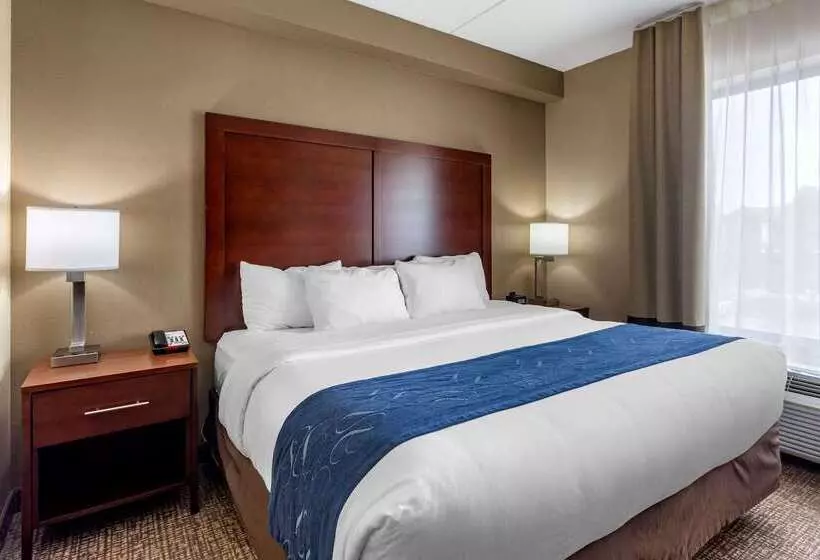 ホテル Comfort Suites Manchester