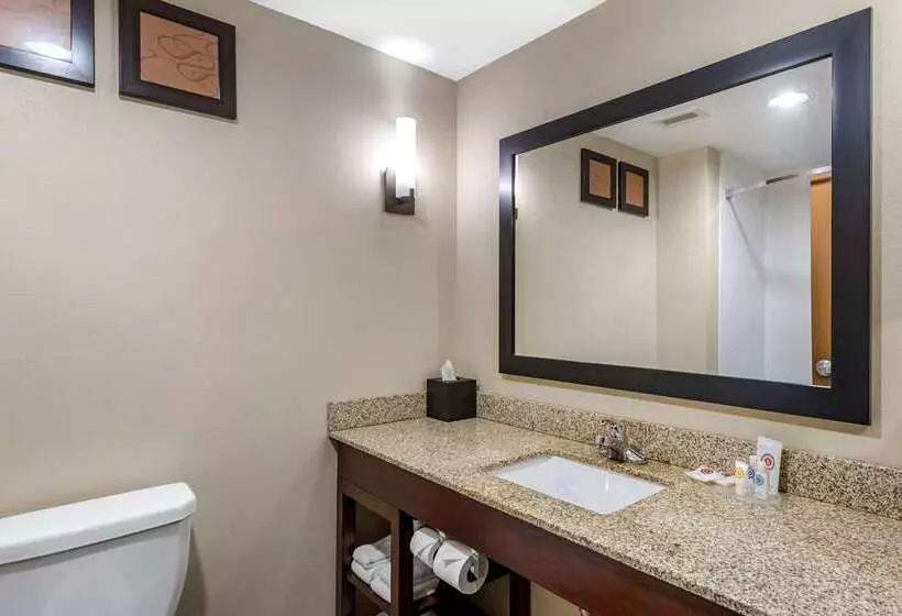 ホテル Comfort Suites Manchester