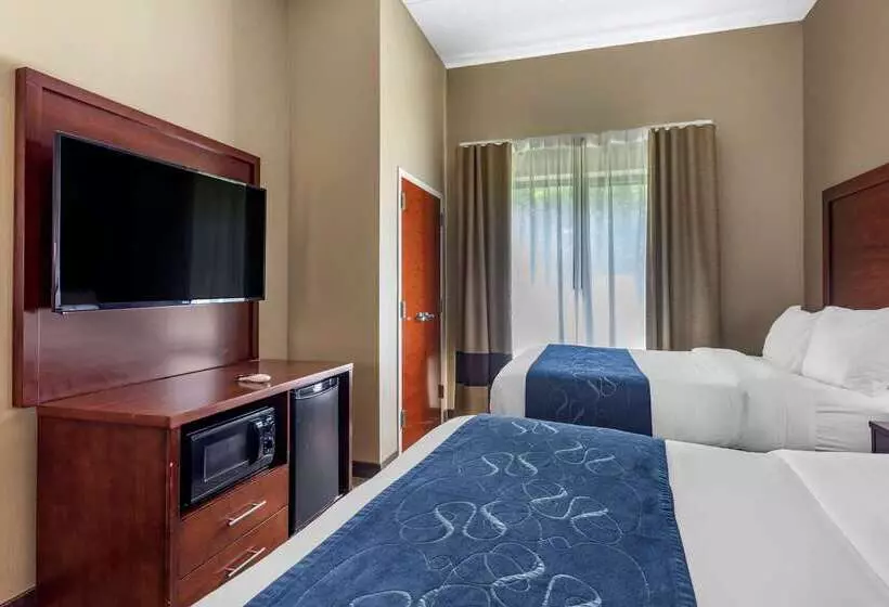 ホテル Comfort Suites Manchester
