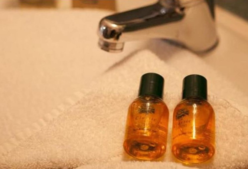 בית מלון כפרי Creggan Court