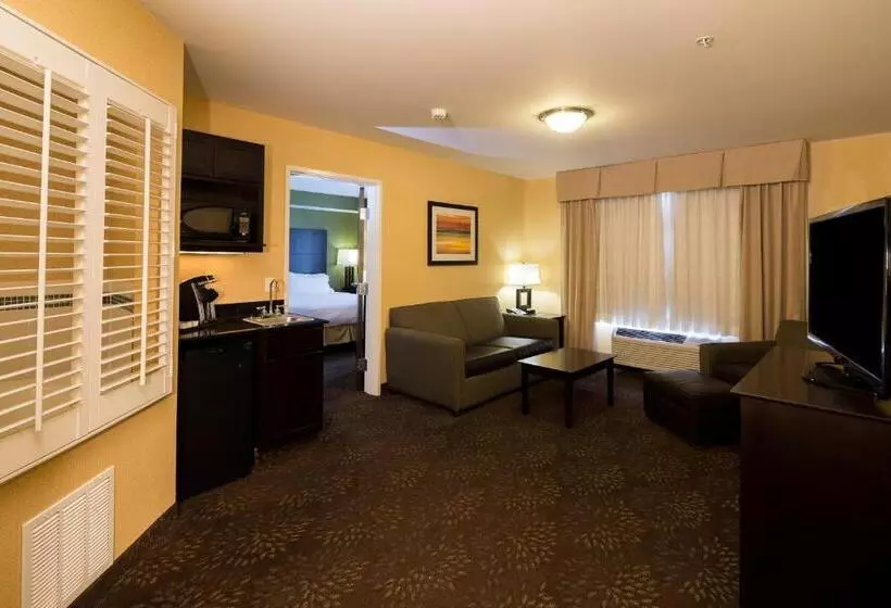בית מלון כפרי Holiday Inn Express And Suites Detroit North Troy, An Ihg