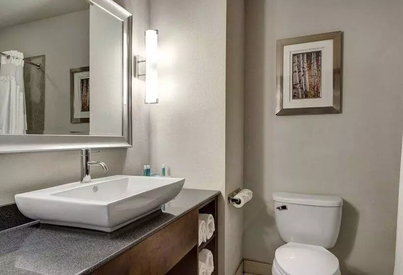 ホテル Holiday Inn Express And Suites Oklahoma City North, An Ihg