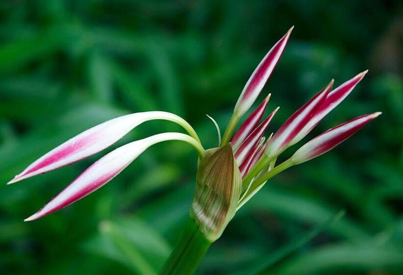 호텔 Le Domaine De L Orangeraie Resort And Spa