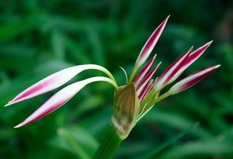 호텔 Le Domaine De L Orangeraie Resort And Spa