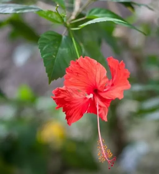 호텔 Le Domaine De L Orangeraie Resort And Spa