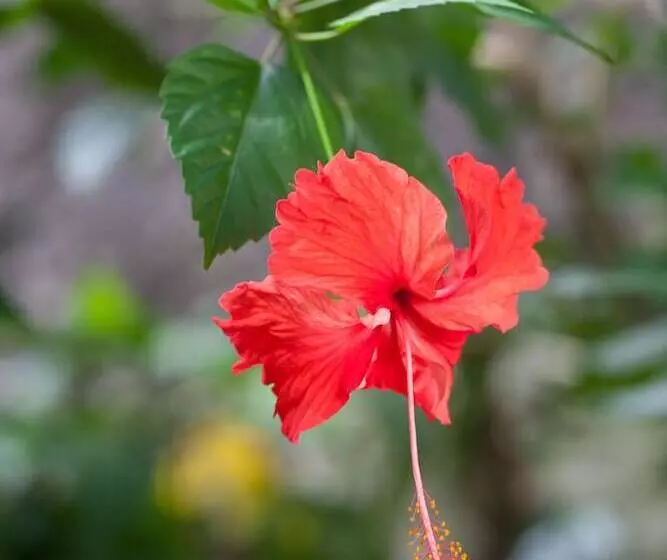 호텔 Le Domaine De L Orangeraie Resort And Spa