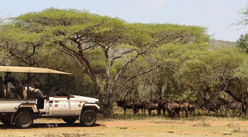 בית מלון כפרי Pakamisa Private Game Reserve