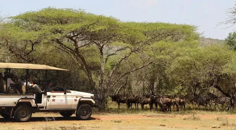 ホテル Pakamisa Private Game Reserve