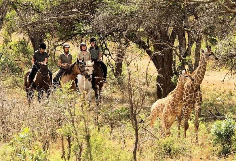 בית מלון כפרי Pakamisa Private Game Reserve