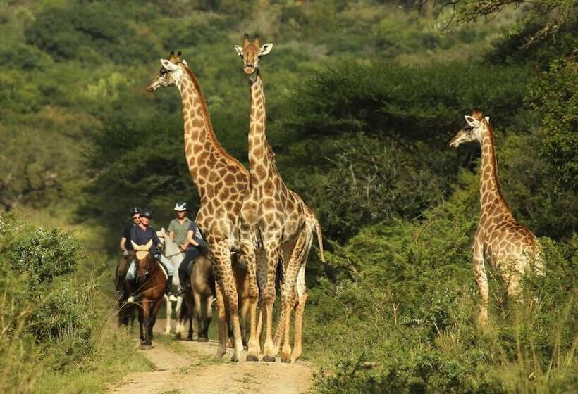 בית מלון כפרי Pakamisa Private Game Reserve