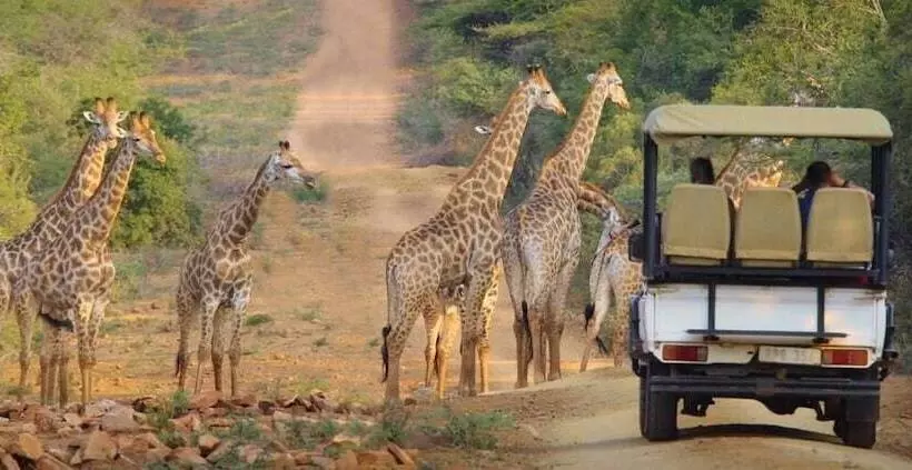 ホテル Pakamisa Private Game Reserve