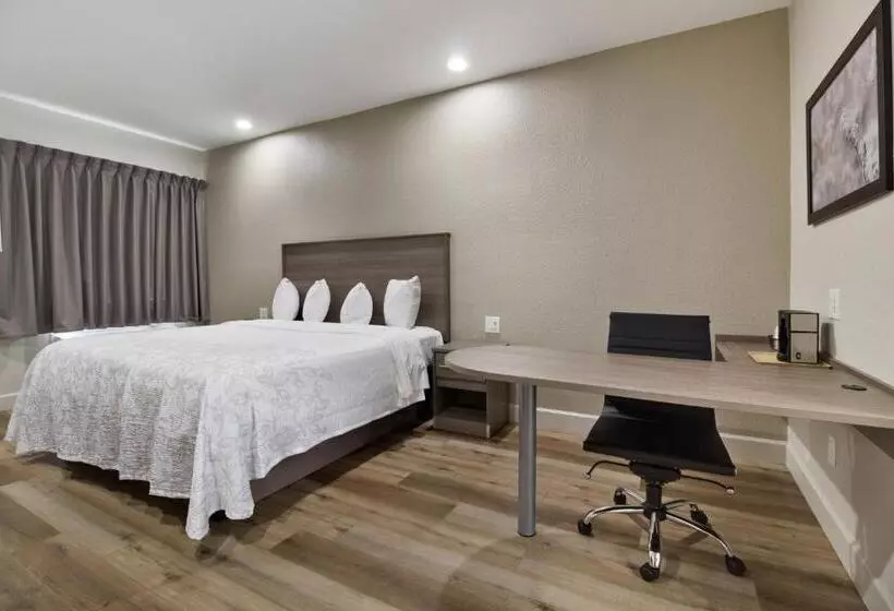 هتل Red Roof Inn Plus + Galveston Beachfront