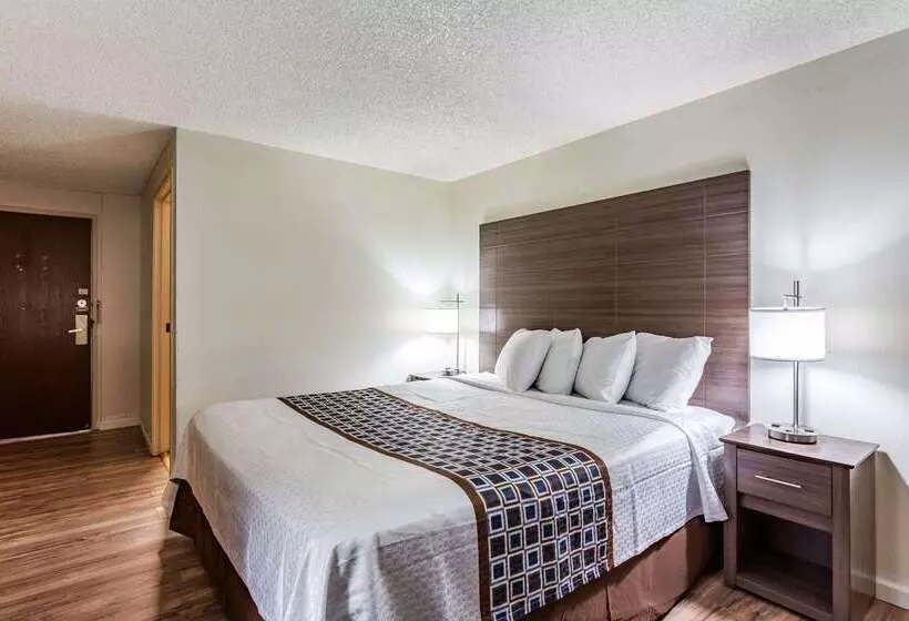 ホテル Rodeway Inn