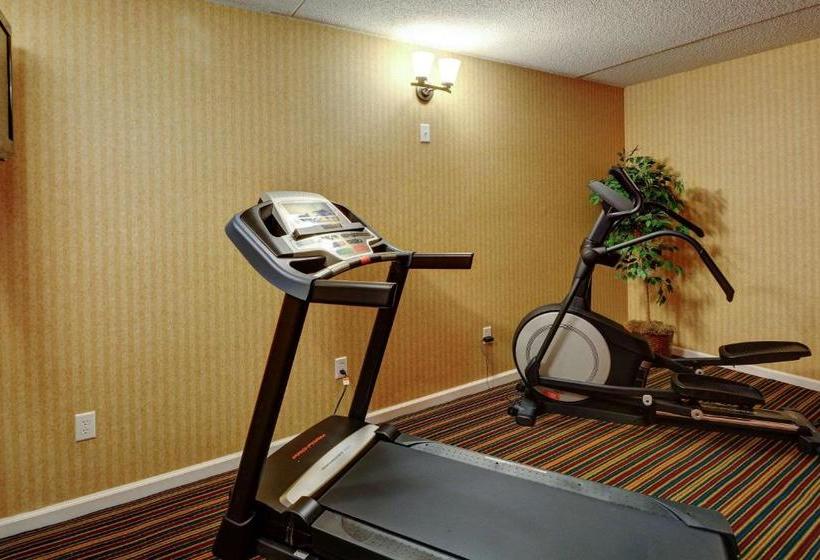 酒店 Rodeway Inn Springhills Lake George