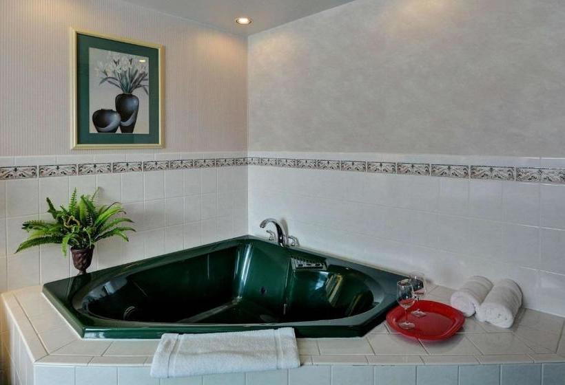 酒店 Rodeway Inn Springhills Lake George