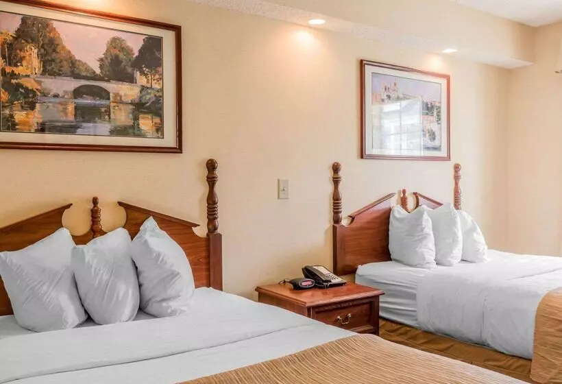 בית מלון כפרי Rodeway Inn Sylacauga Hwy 280