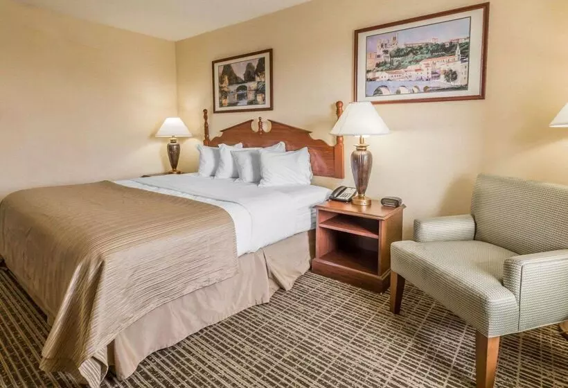 בית מלון כפרי Rodeway Inn Sylacauga Hwy 280