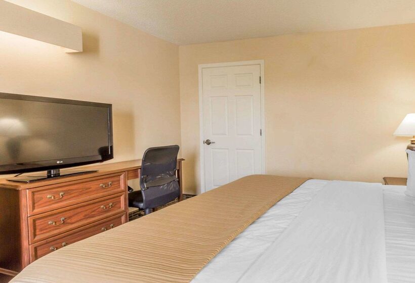 酒店 Rodeway Inn Sylacauga Hwy 280