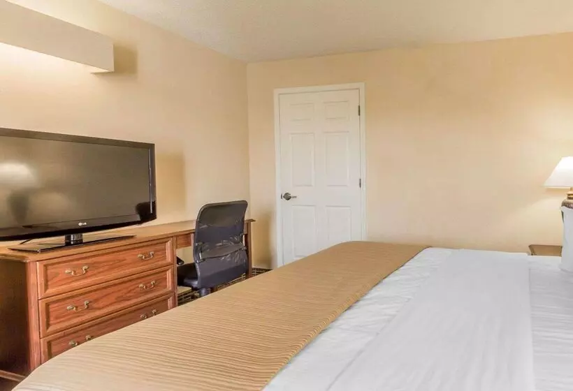 בית מלון כפרי Rodeway Inn Sylacauga Hwy 280