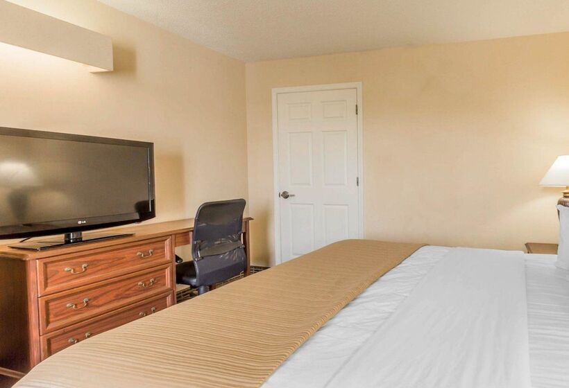 酒店 Rodeway Inn Sylacauga Hwy 280