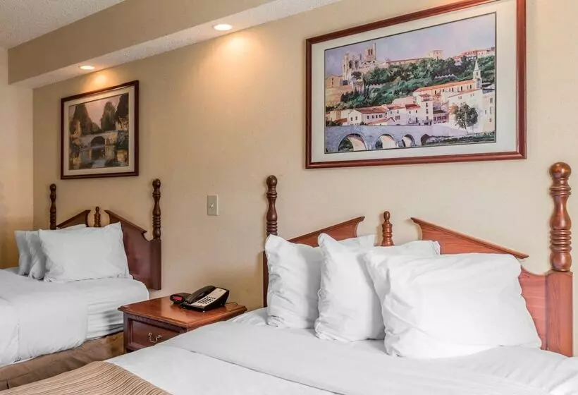 בית מלון כפרי Rodeway Inn Sylacauga Hwy 280