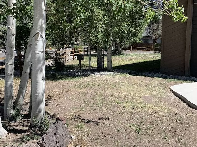 Отель Baymont By Wyndham Monte Vista