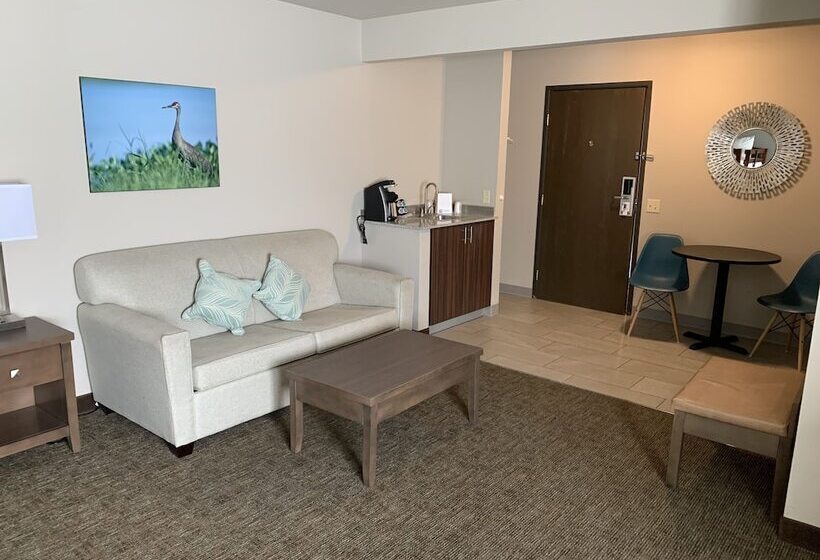 فندق Baymont By Wyndham Monte Vista