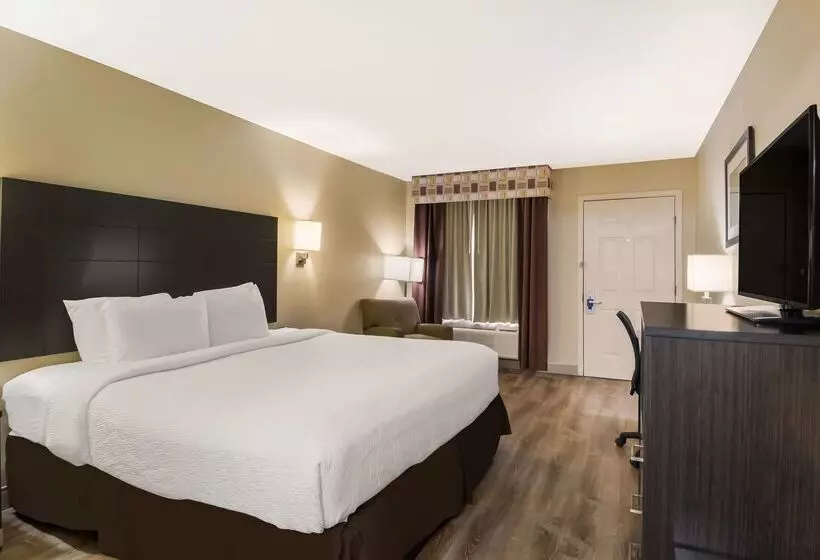 Surestay Plus Hotel By Best Western Jackson