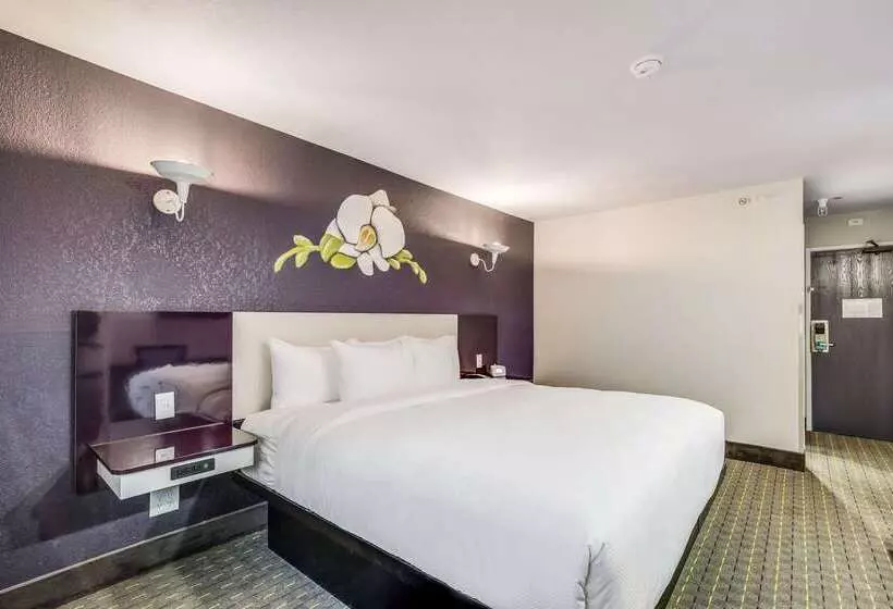 汽车旅馆  Clarion Pointe Tallahassee State Capitol