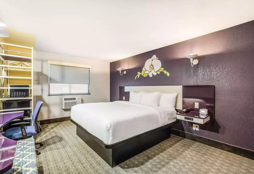 汽车旅馆  Clarion Pointe Tallahassee State Capitol