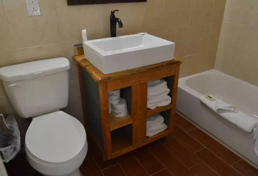 The Resort At Schlitterbahn