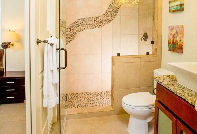 The Resort At Schlitterbahn