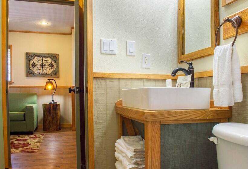 The Resort At Schlitterbahn