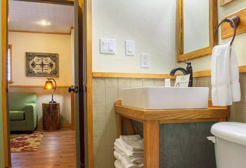 The Resort At Schlitterbahn