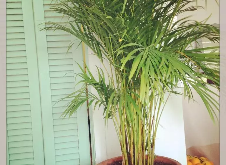 ホテル Ca S Papà