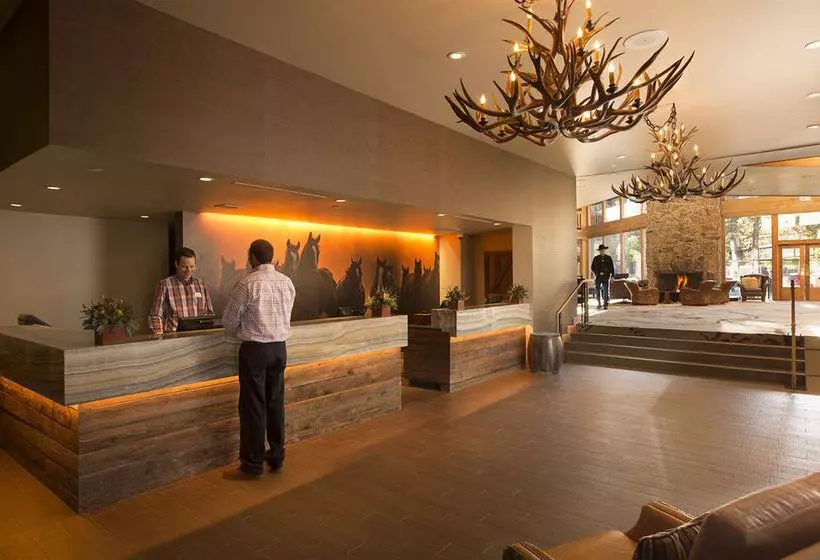 فندق Grand View Lodge