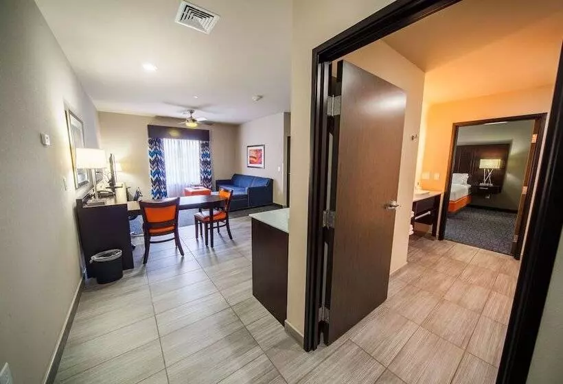 호텔 Holiday Inn Express & Suites Oklahoma City Southeast, An Ihg