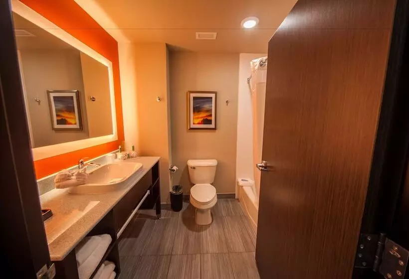 호텔 Holiday Inn Express & Suites Oklahoma City Southeast, An Ihg