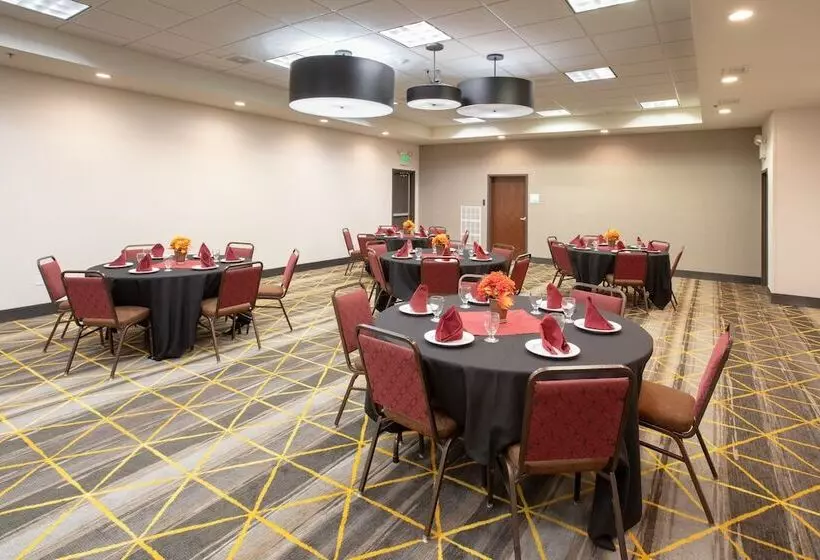 Hotel Holiday Inn & Suites Durango Downtown, An Ihg