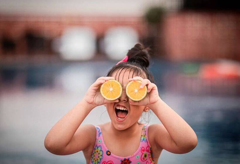 فندق Ibis Jaipur City Centre   An Accor Brand