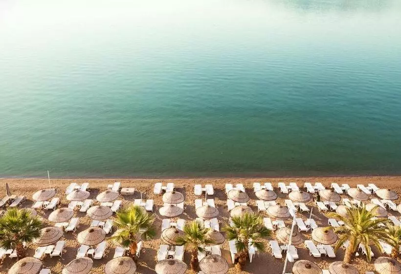 The Beachfront Hotel Adult Only 16 Plus