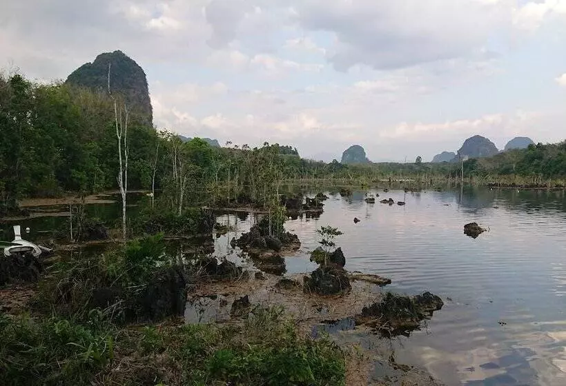 호텔 The Krabi Forest Homestay