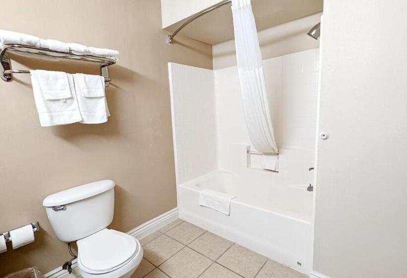 Отель Fairbridge Inn & Suites Canadian