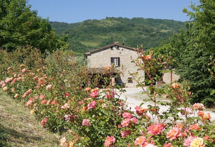 Agriturismo Corte Dei Mori