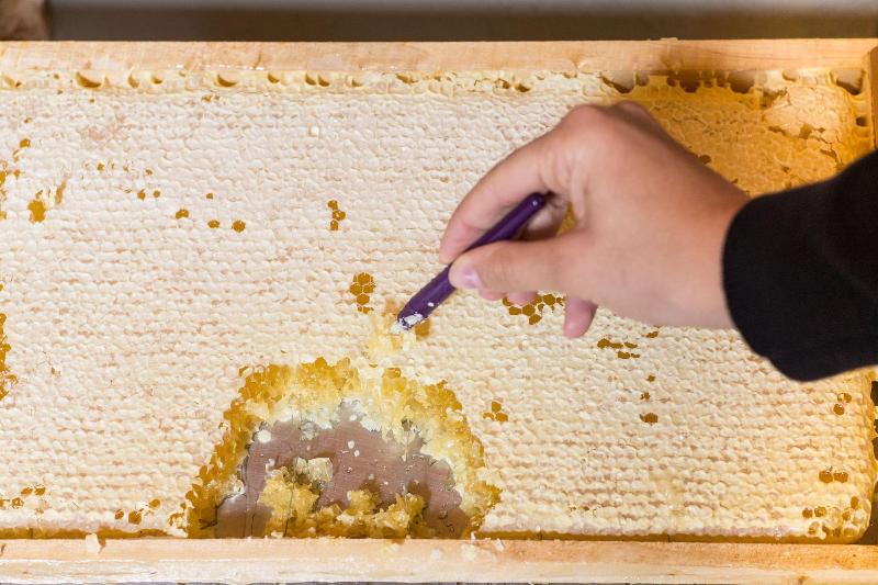 酒店 Al Castello Resort